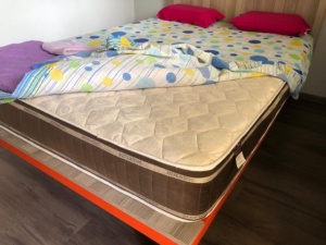 Apartman na Dan Novi Sad