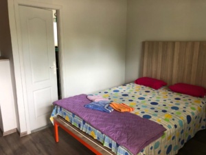 Apartman na Dan Novi Sad