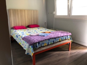 Apartman na Dan Novi Sad
