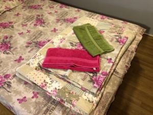 Izdavanje apartmana na dan Novi Sad