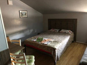 Apartman na duži period Novi Sad
