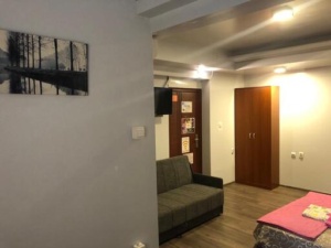 Apartman za više osoba Novi Sad